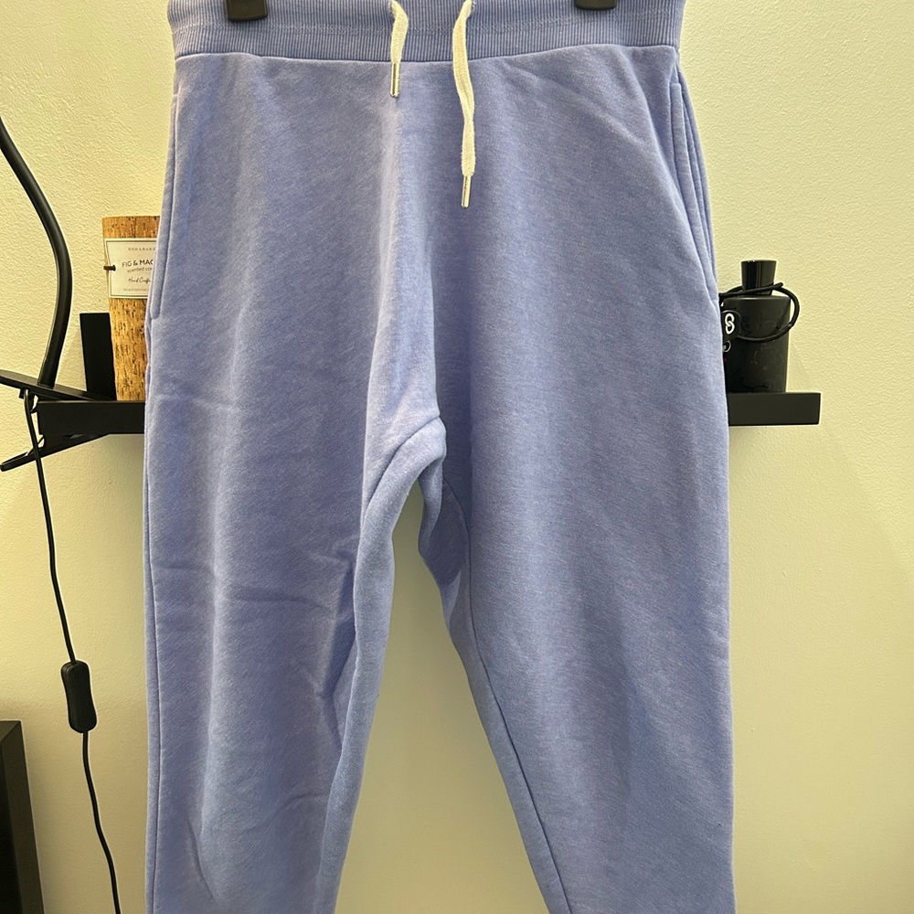 Women's Light purple Joggers